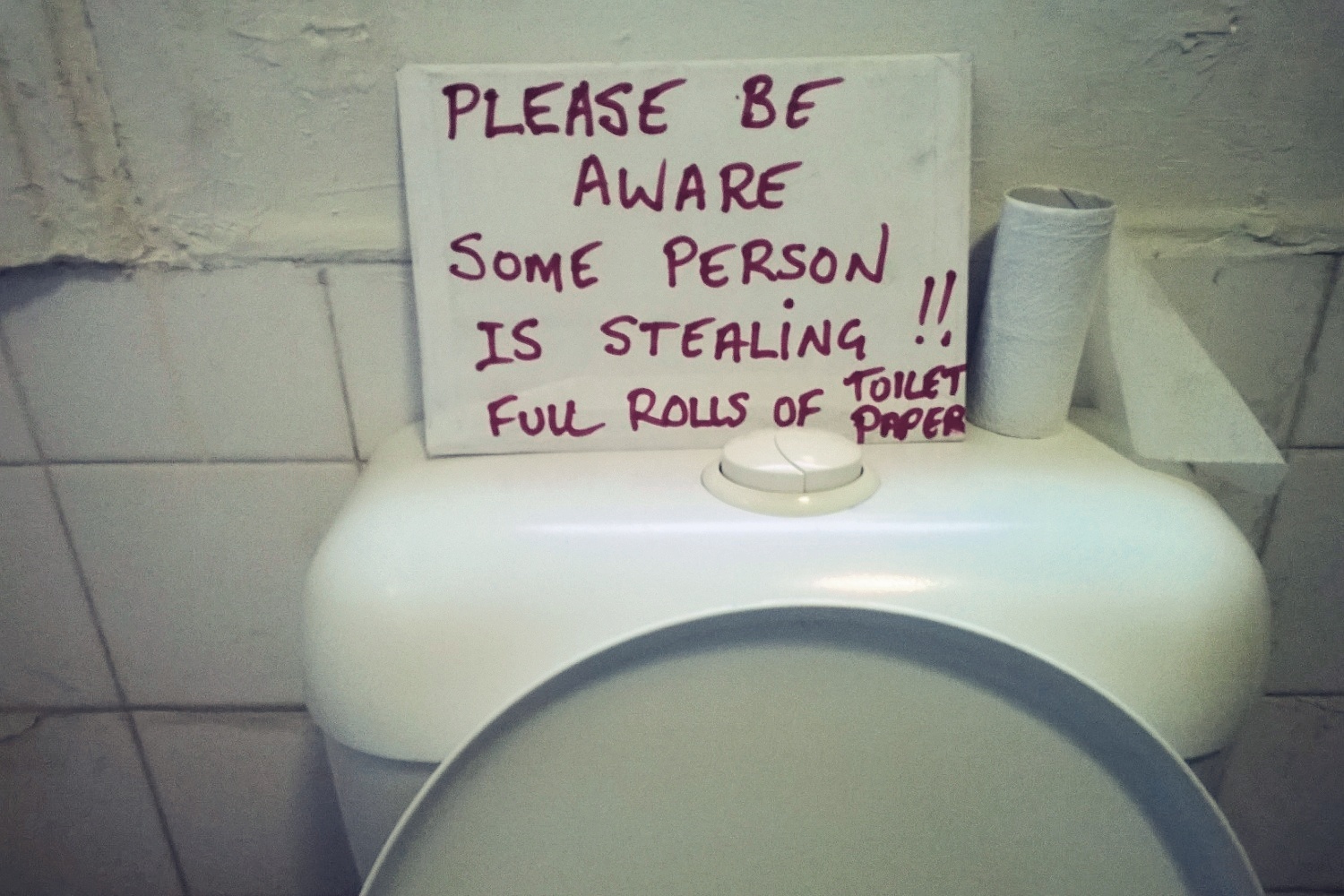 full-rolls-of-toilet-paper-2014-ashley-lily-scarlett.jpg
